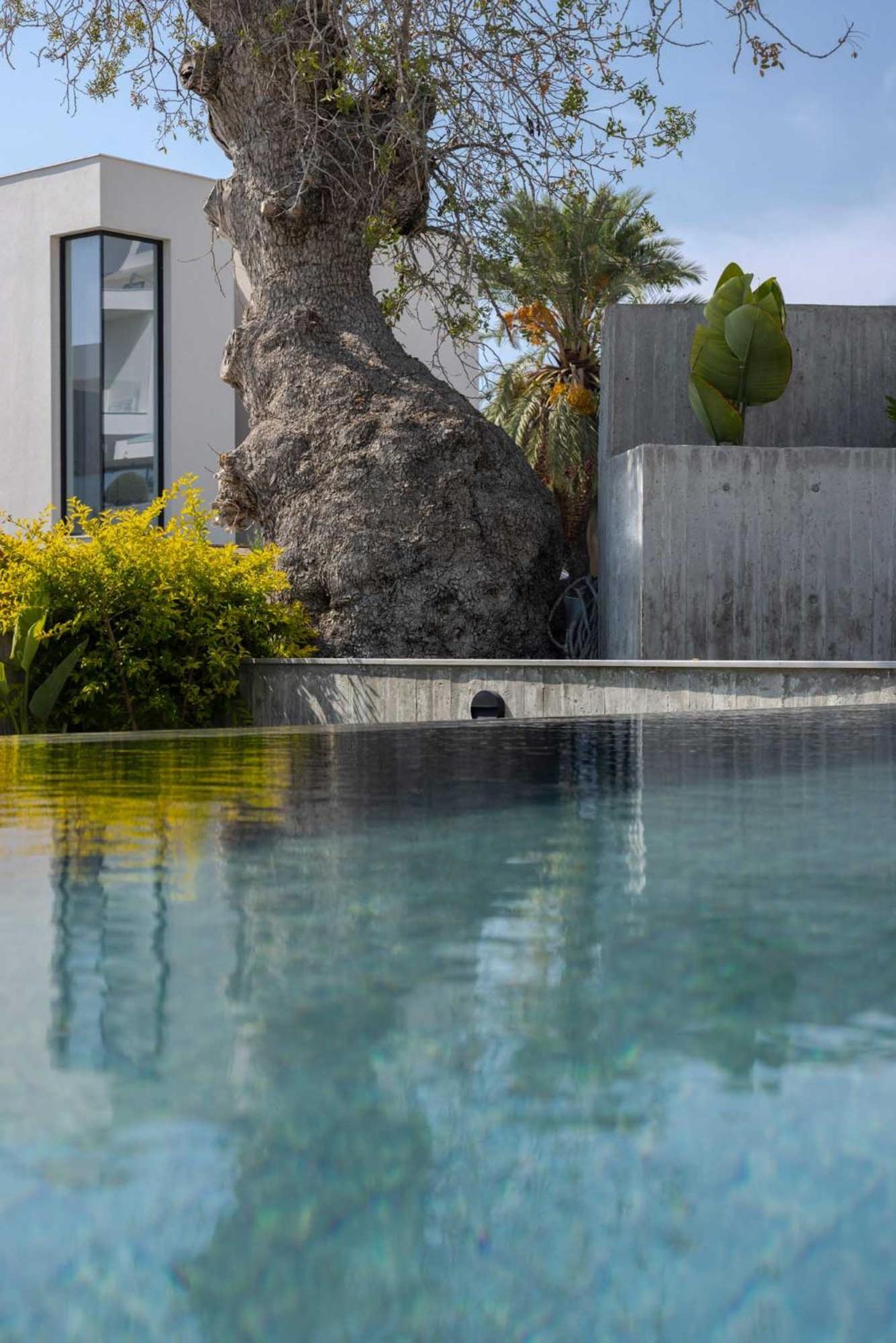 Greenvale Park Villas Klorakas Dış mekan fotoğraf